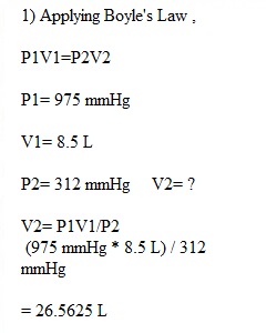 Quiz  19